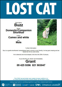 lostcatblog