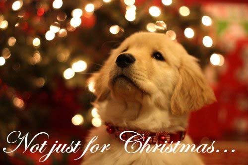 xmas2017